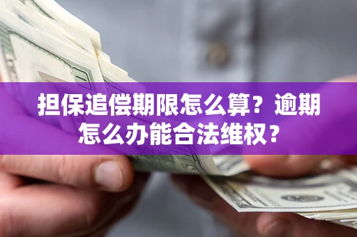 武汉担保追偿期限怎么算?逾期怎么办能合法维权? 武汉担保追偿期限怎么算?逾期怎么办能合法维权?
