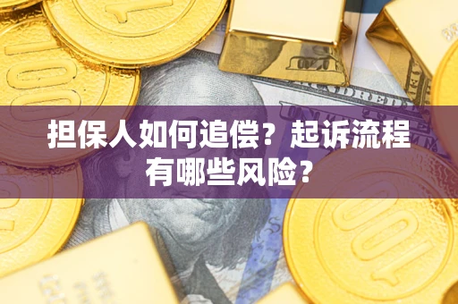 武汉担保人如何追偿?起诉流程有哪些风险? 武汉担保人如何追偿?起诉流程有哪些风险?